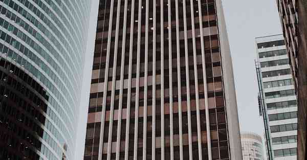 外国语单招大数据的行业文章