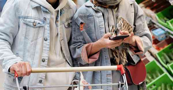 全自动智能宠物机器人 宠物机器人COZMO