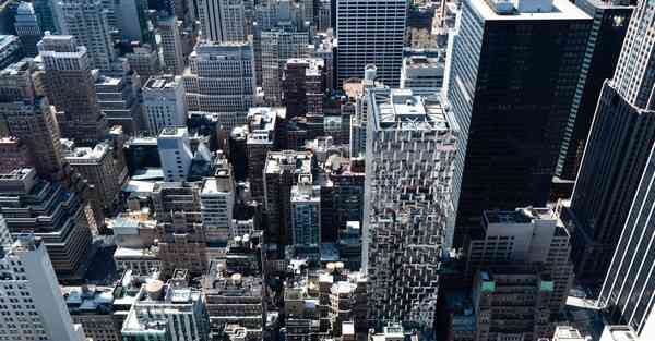 白领生活大数据