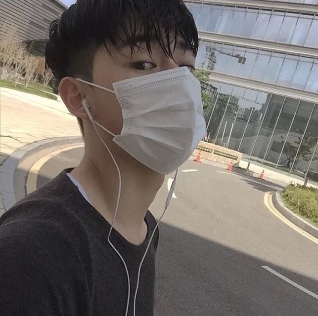 费蕊建林