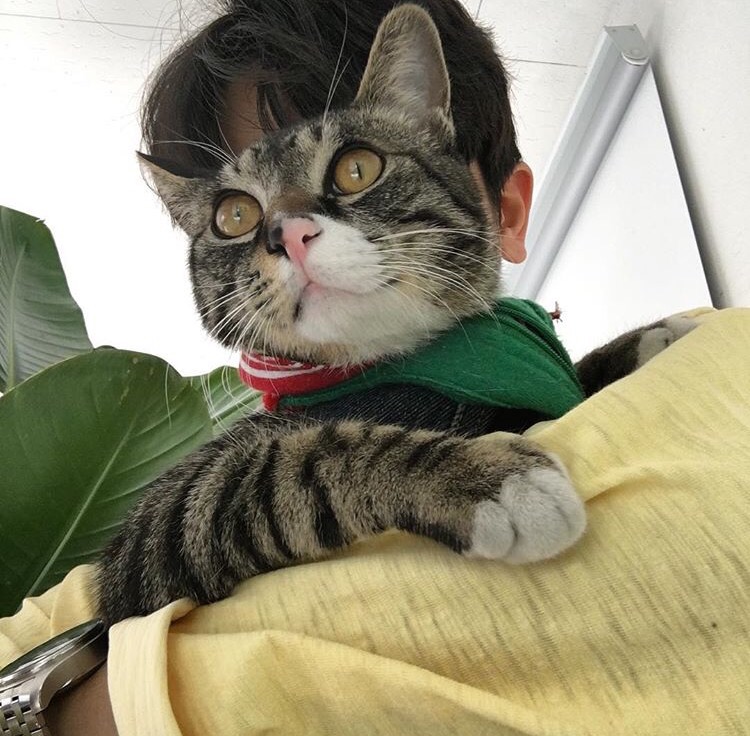 洪宽鸿雄