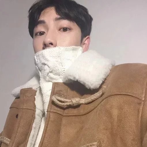 荀惠盛贝