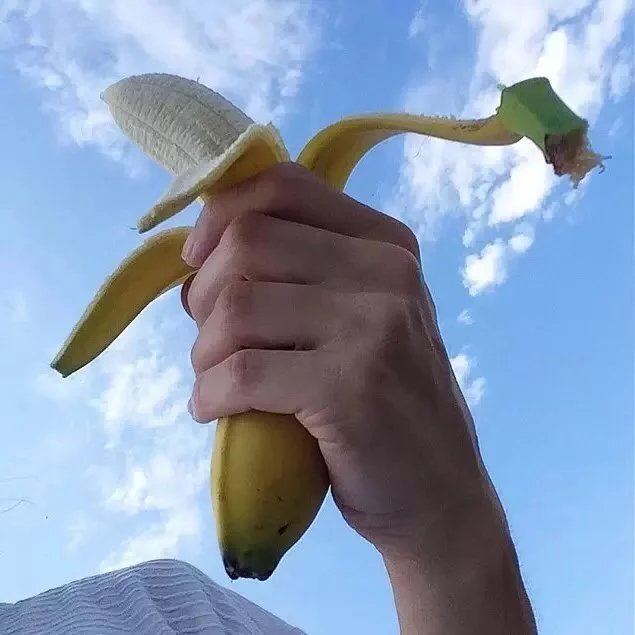 仲孙清怡菊