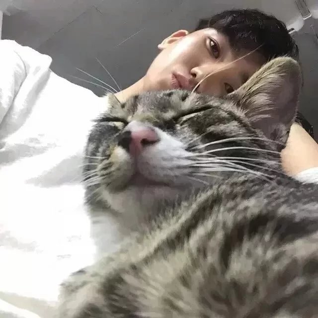 许灵顺裕